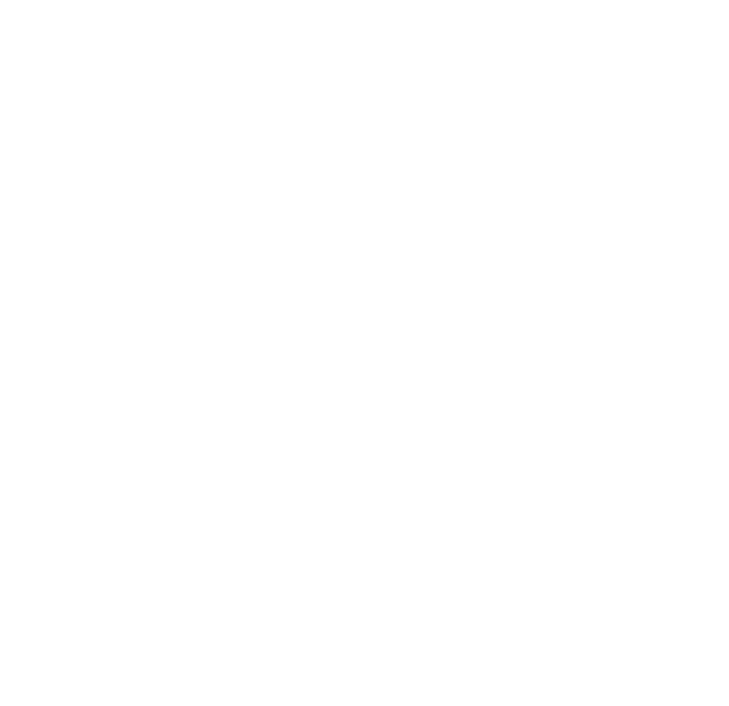 Skie Group